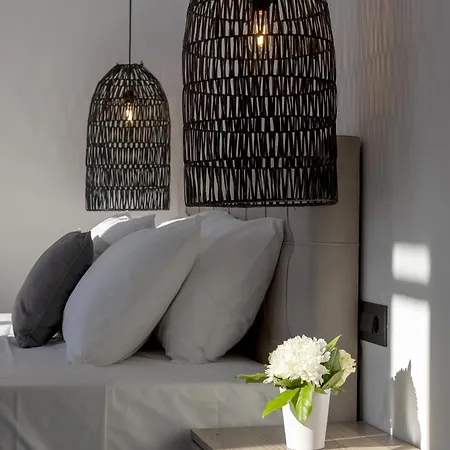 Alexandros Central Suites, Mykonos Town, With Shared Rooftop Terrace Zewnętrze zdjęcie